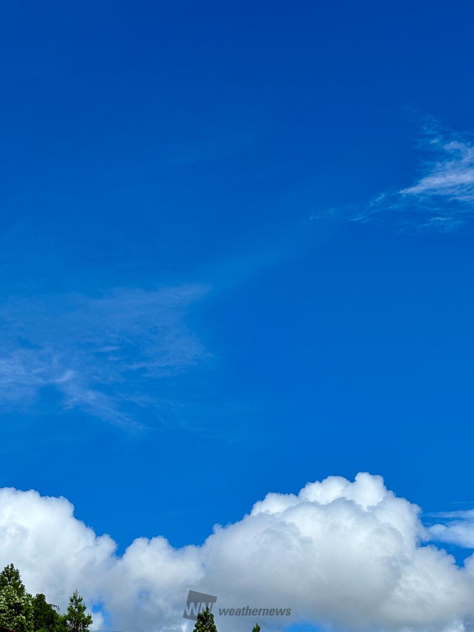 青空が広がる！！ 注目の空の写真 ウェザーニュース