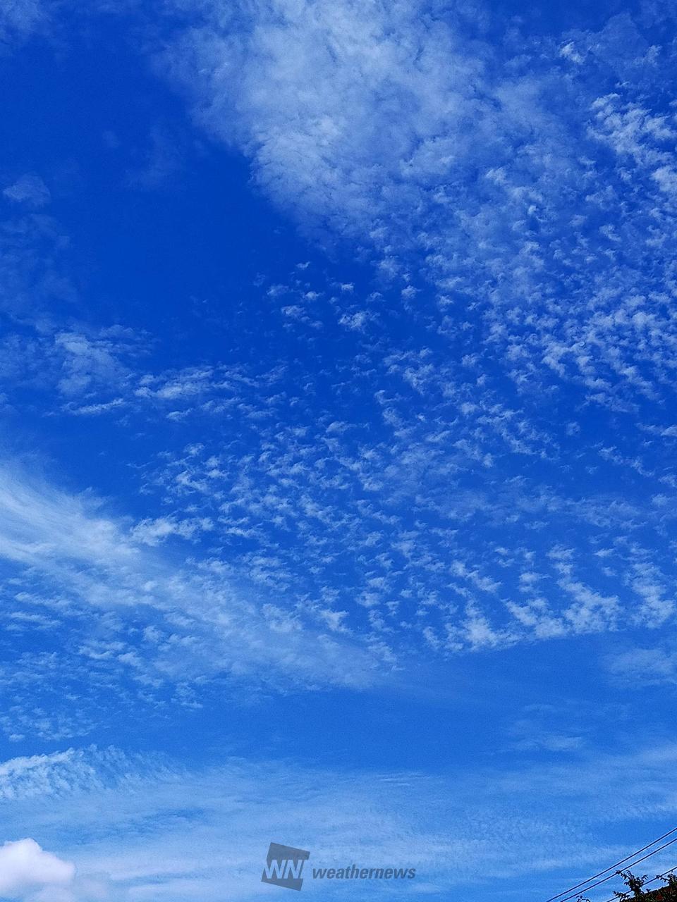 青空が広がる！！ 注目の空の写真 ウェザーニュース