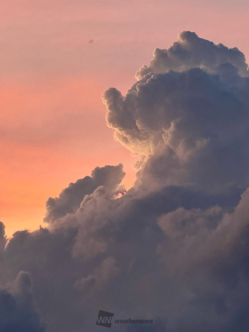 迫力の入道雲 注目の空の写真 ウェザーニュース