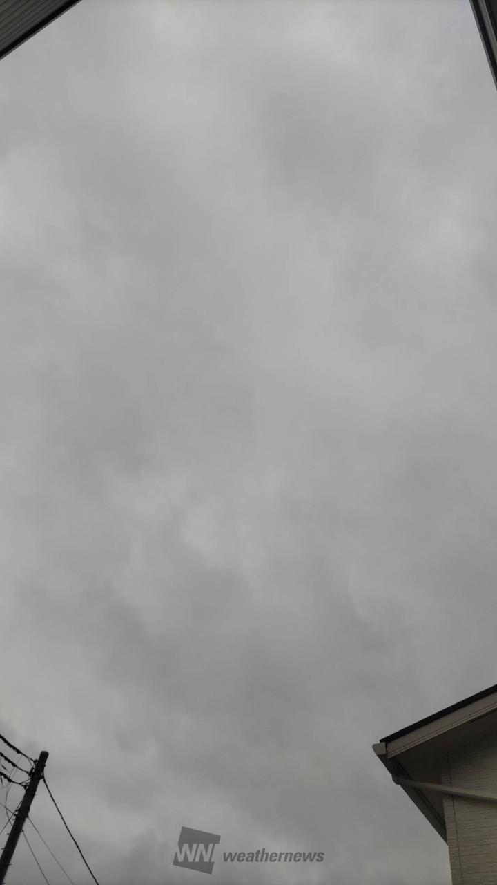 薄い灰色の雲が広が...