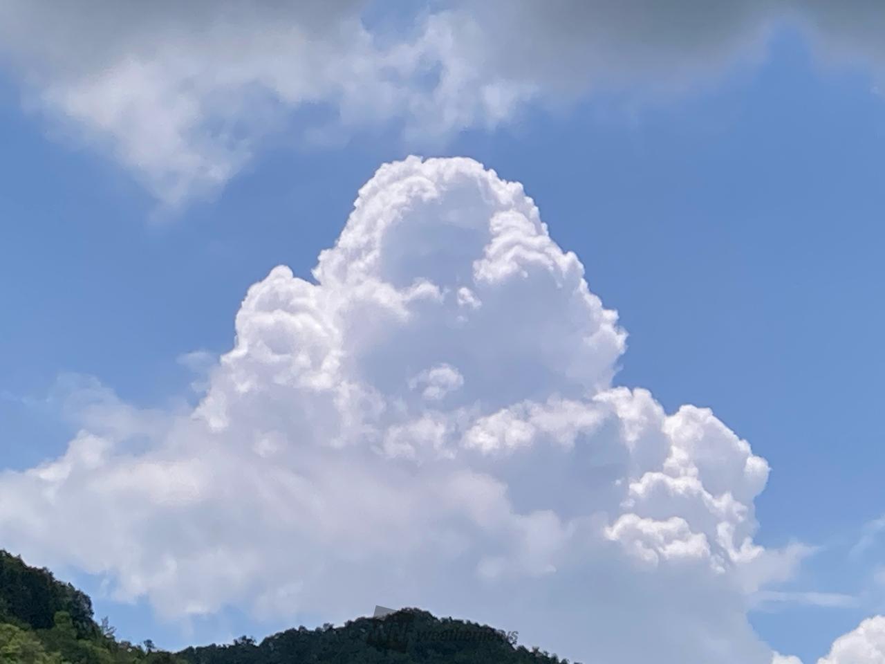 元気な夏雲 注目の空の写真 ウェザーニュース