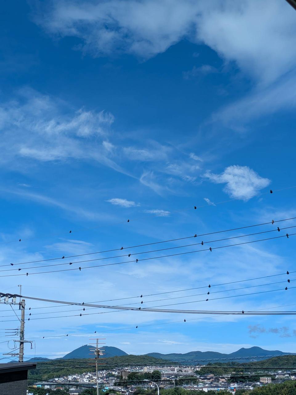 夏空の日曜日 注目の空の写真 ウェザーニュース