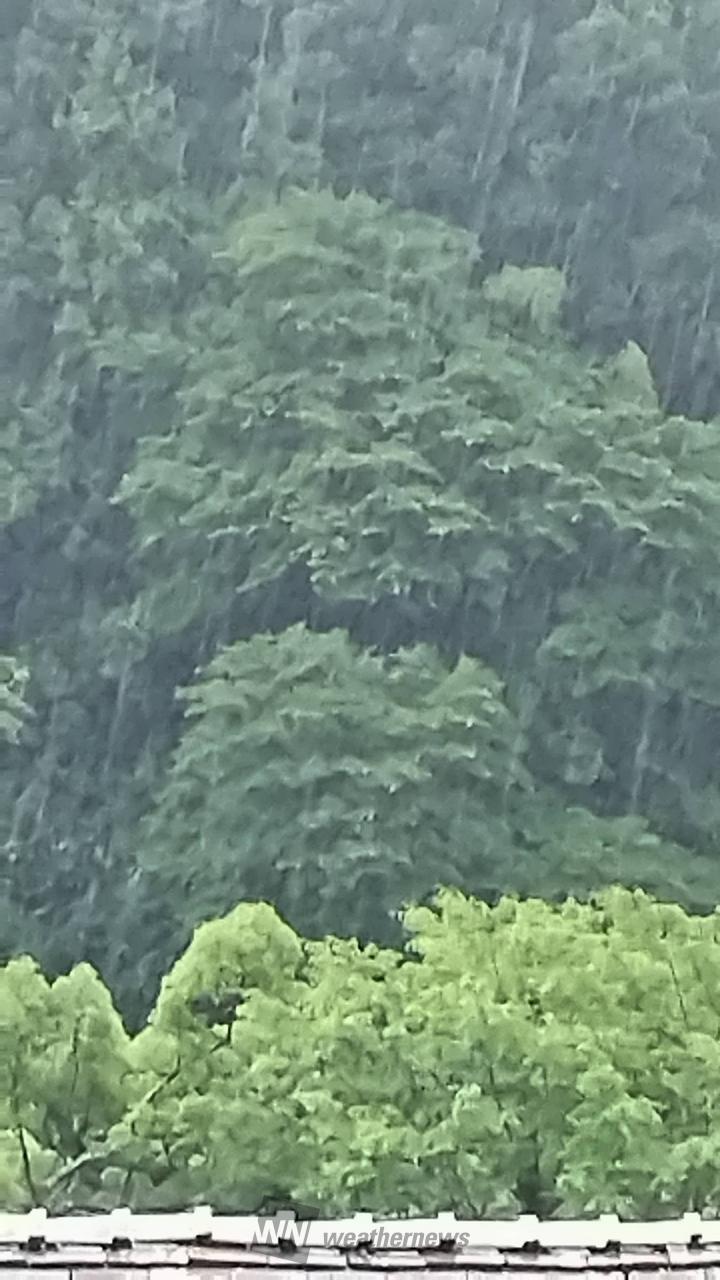 朝は曇り☁️空でし...
