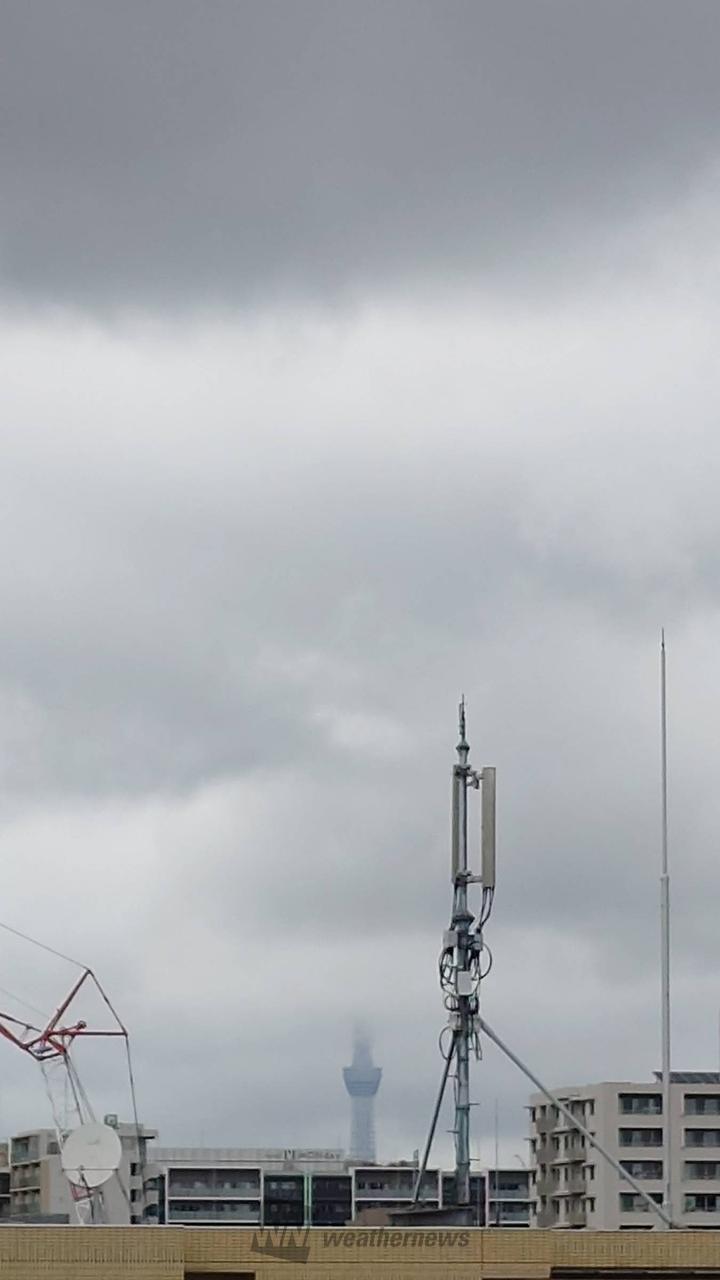 こんにちは仕事...