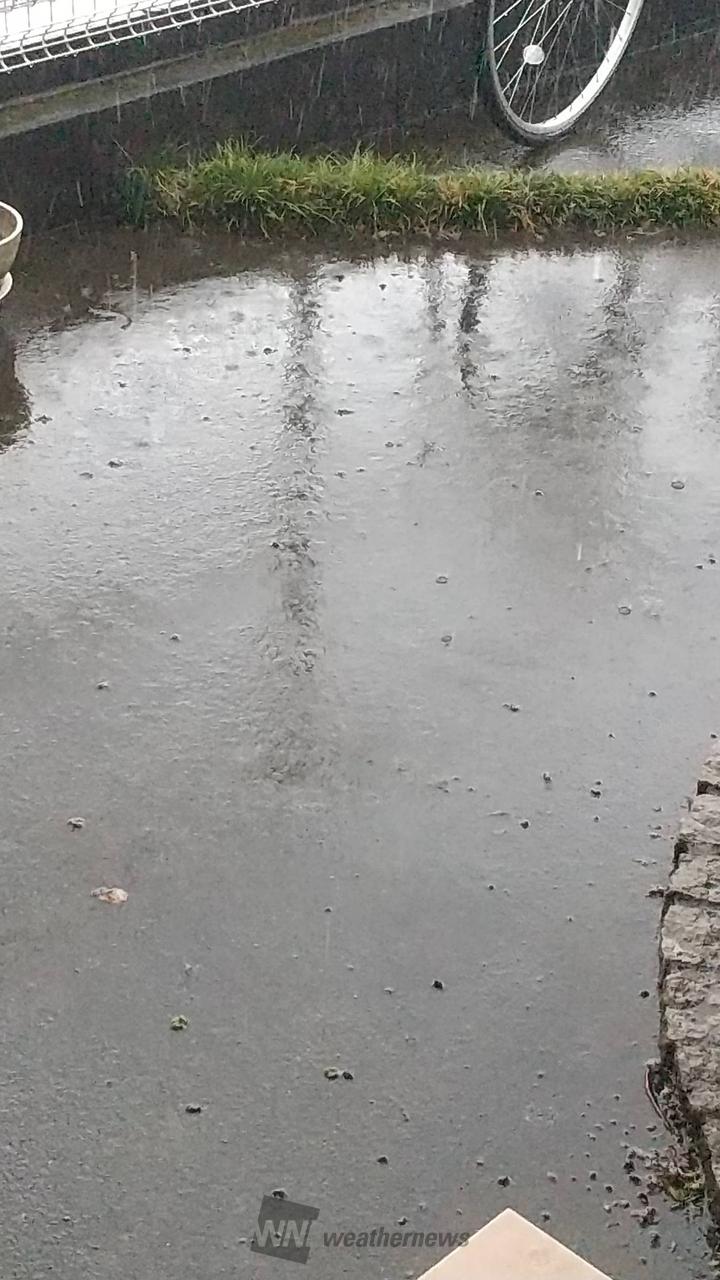 おはようございます...