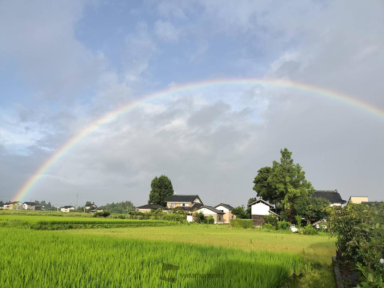 朝虹が出現 注目の空の写真 ウェザーニュース