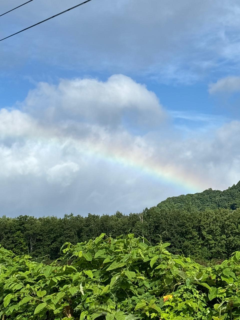 朝虹が出現 注目の空の写真 ウェザーニュース