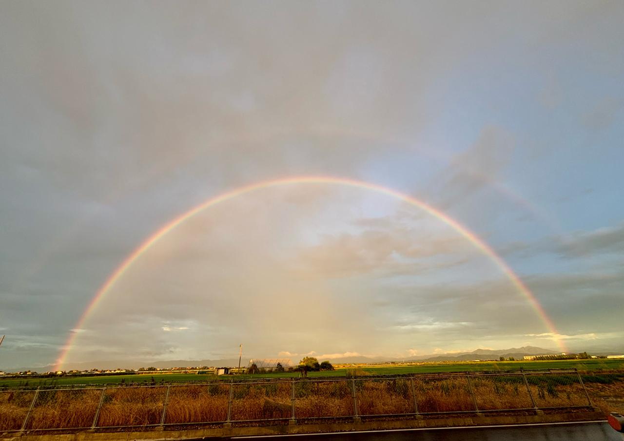 虹が出現 注目の空の写真 ウェザーニュース