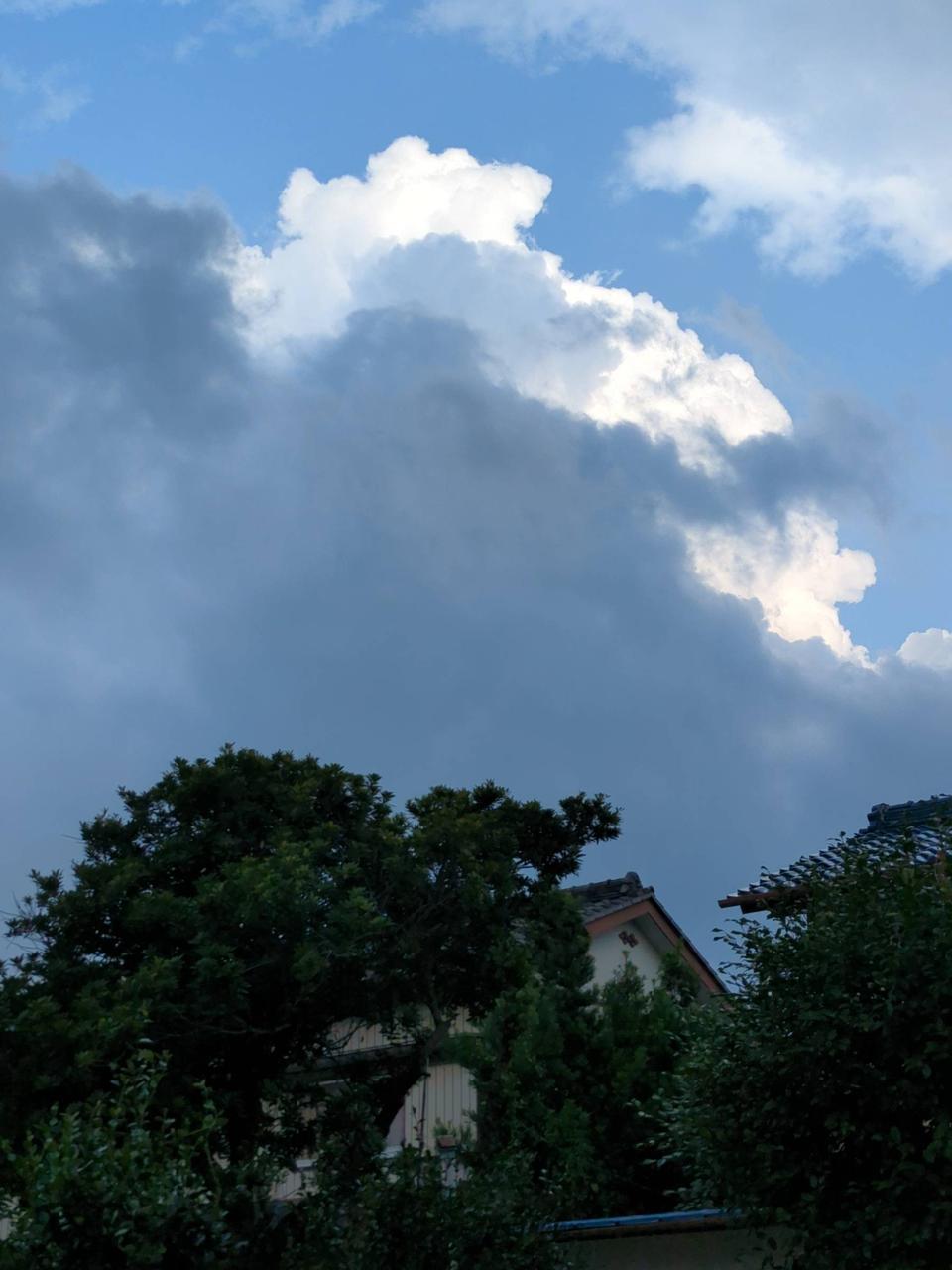 南から入道雲のような雲が流れてきます。 | 高知県高知市 | すこたん