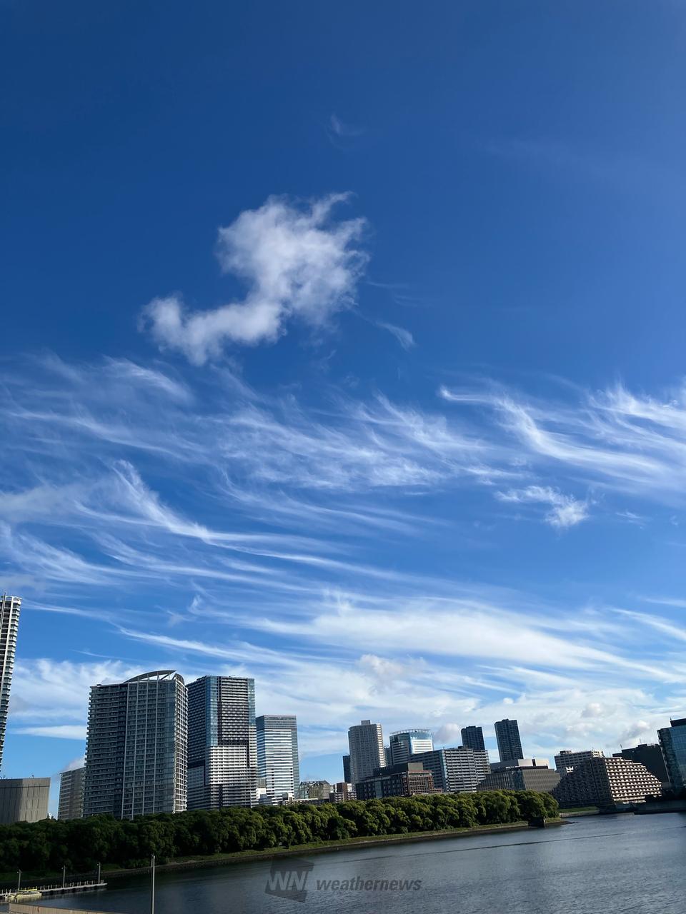 いい感じの雲ですね...