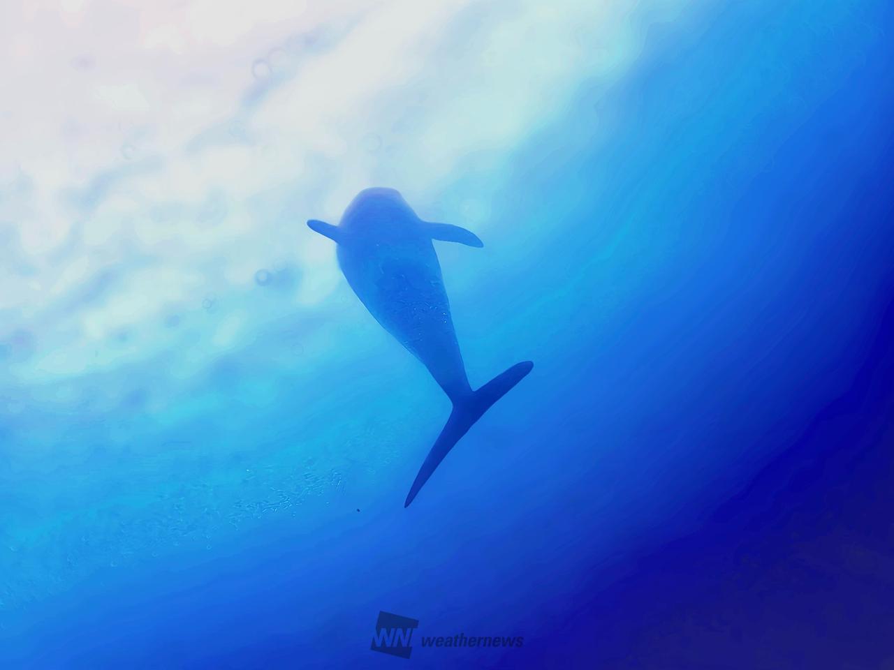 7月21日は海の日🌊 注目の空の写真 ウェザーニュース