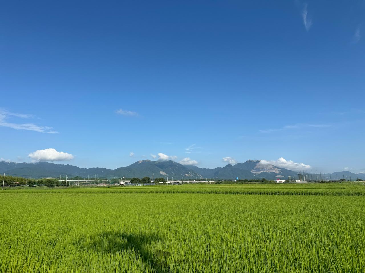 澄み渡る夏の青空 注目の空の写真 ウェザーニュース