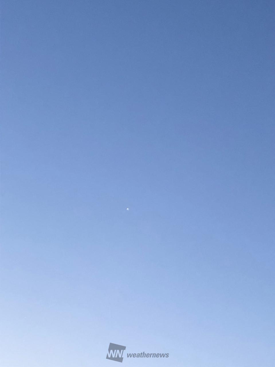 スッキリとした空模...