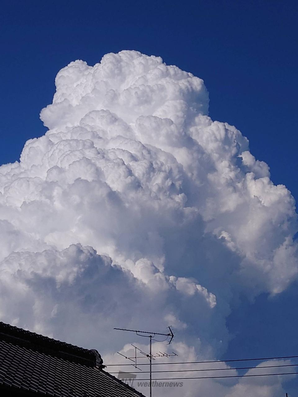 発達した積乱雲 注目の空の写真 ウェザーニュース