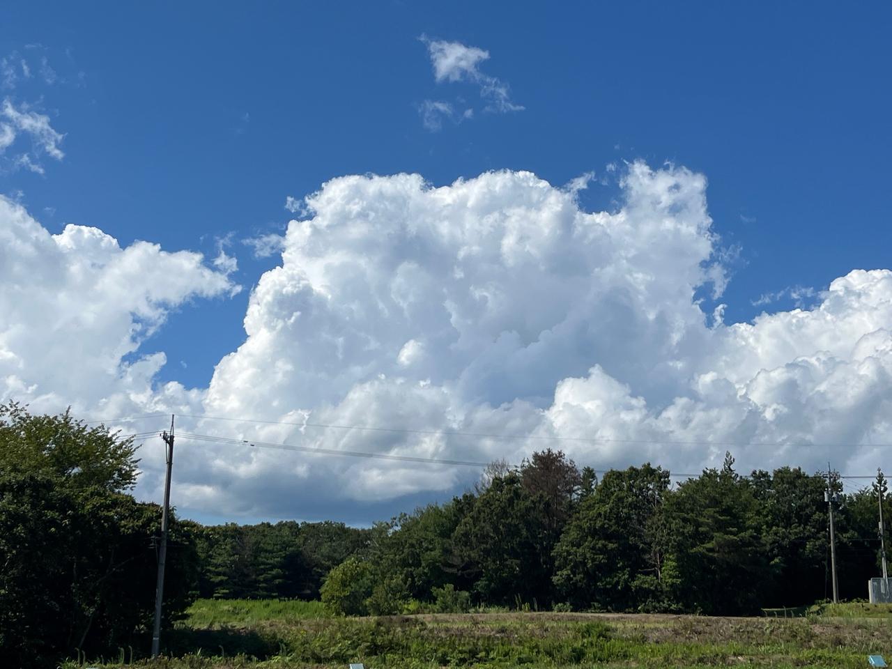 発達するもくもく雲 注目の空の写真 ウェザーニュース