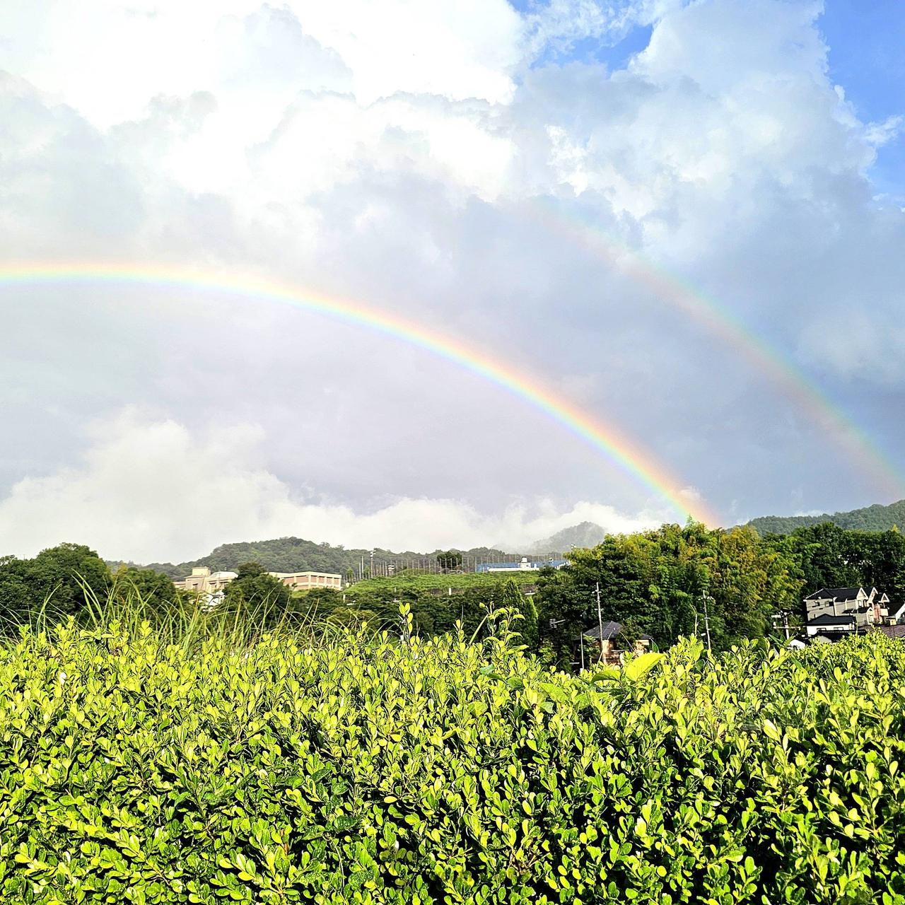 雨が降り虹がかかる 注目の空の写真 ウェザーニュース