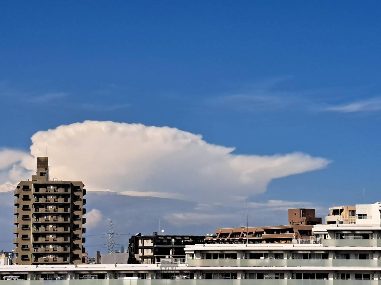 クジラのような雲？ 注目の空の写真 ウェザーニュース