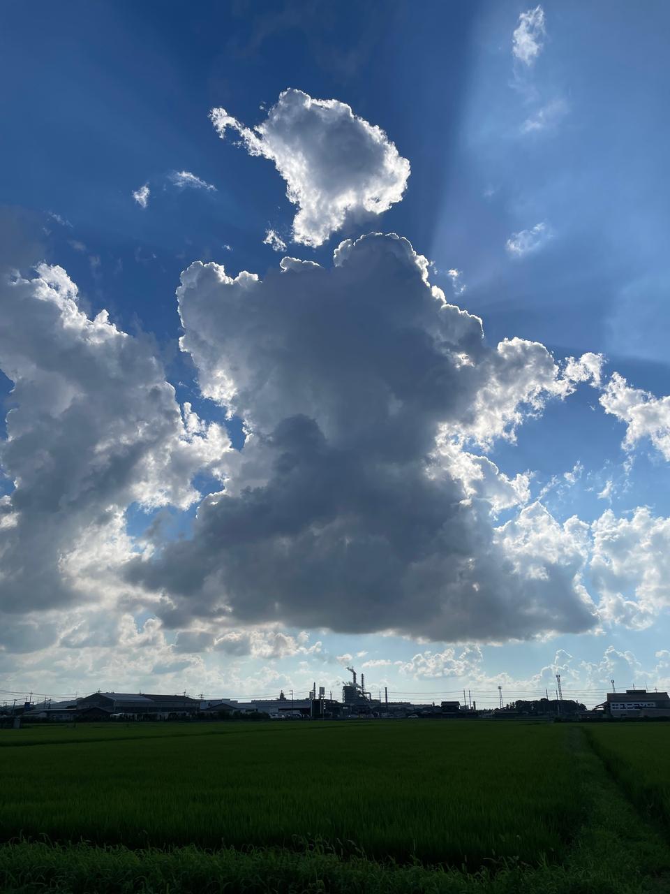 怪しい雲にご用心 雨柱の報告も 注目の空の写真 ウェザーニュース