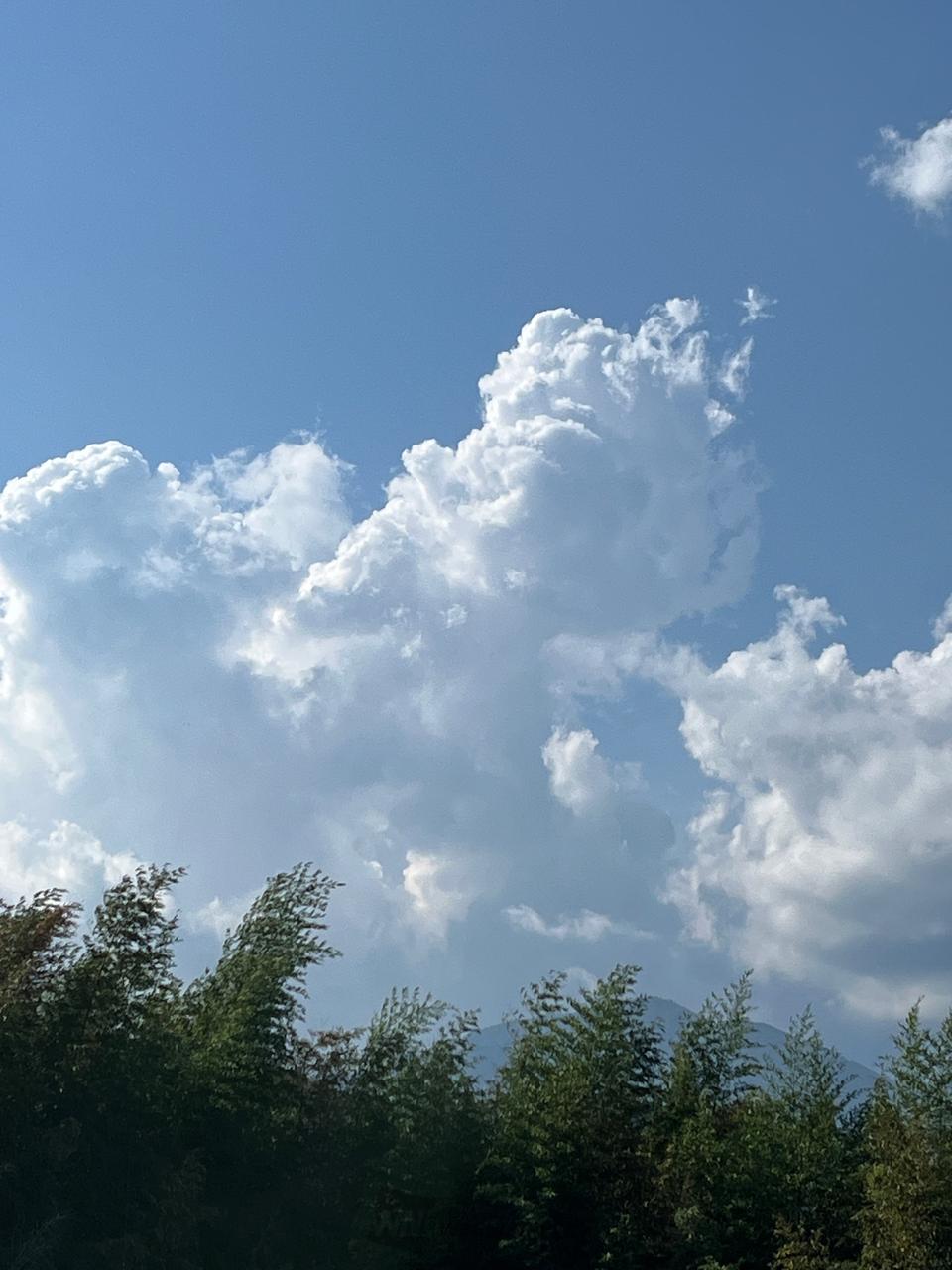 ☁️もくもく☁️ 注目の空の写真 ウェザーニュース