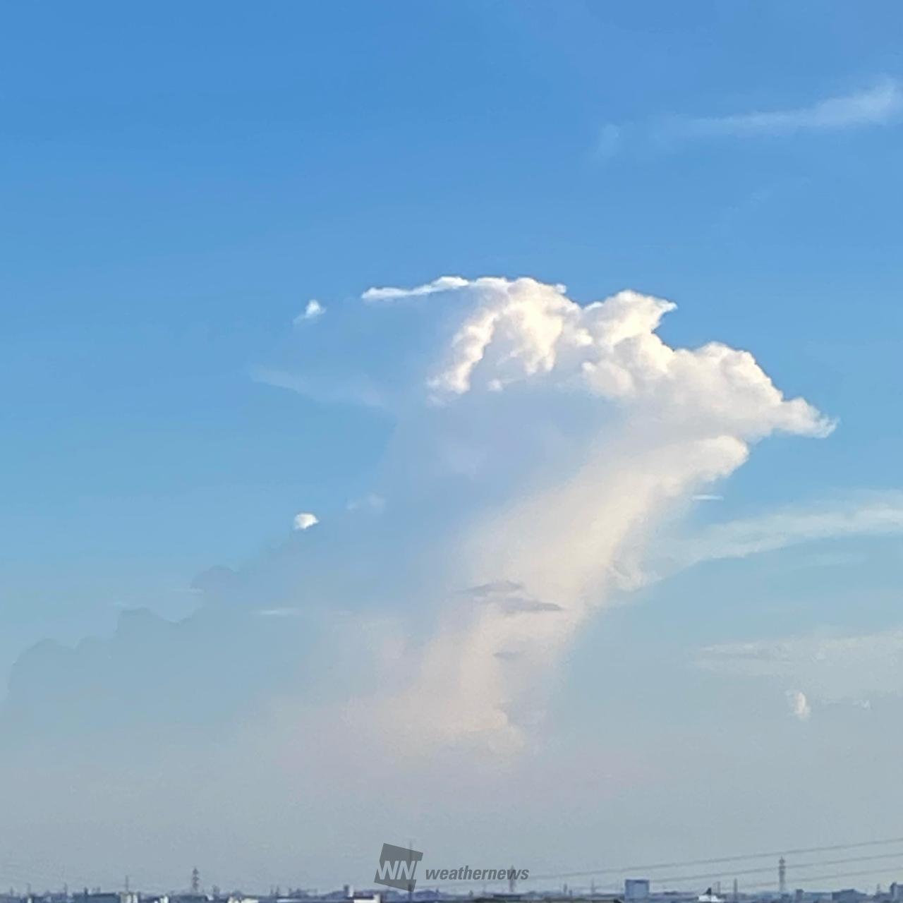 ☁️もくもく☁️ 注目の空の写真 ウェザーニュース