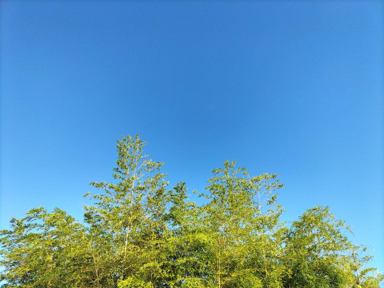 連休明けも青空 注目の空の写真 ウェザーニュース