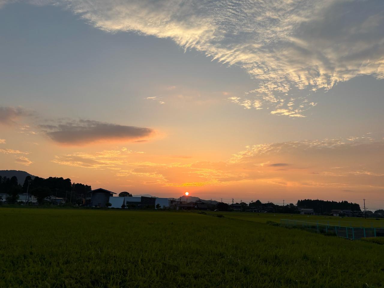 照柿色 オレンジブラウン 波と雲の地紋と光沢が美しい色無地 照柿色 オレンジブラウン 波と雲の地紋と光沢が美しい色無地