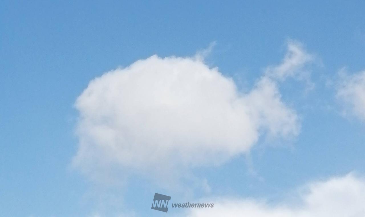 おもしろ雲画廊 注目の空の写真 ウェザーニュース