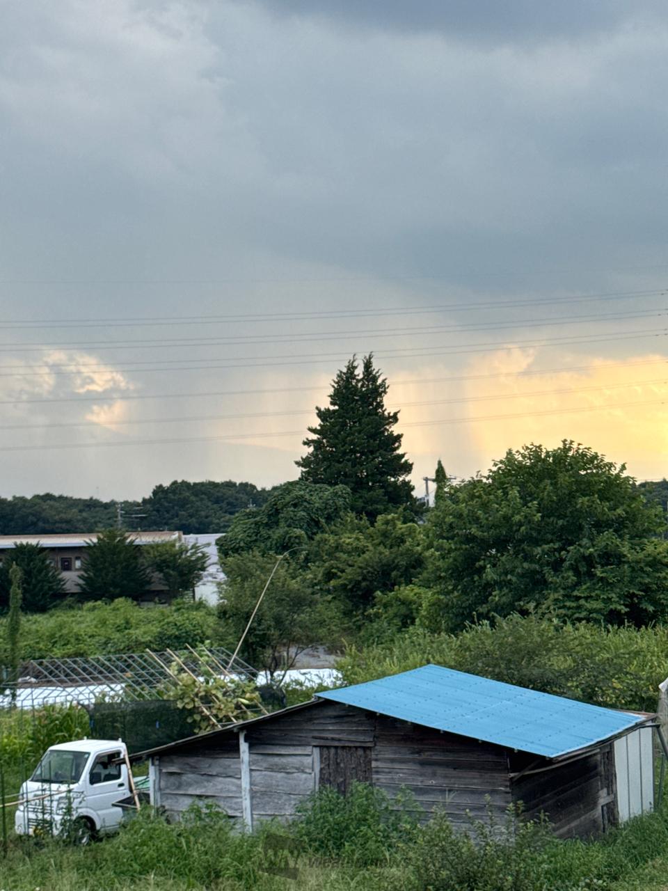 雨柱や発達した積乱雲 注目の空の写真 ウェザーニュース