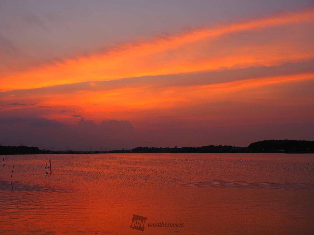 金曜日の夕空 注目の空の写真 ウェザーニュース