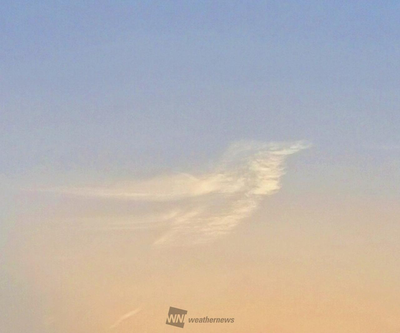 おもしろ雲画廊 注目の空の写真 ウェザーニュース