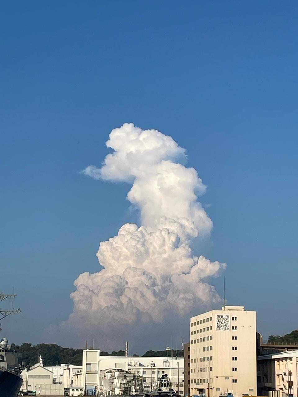 おもしろ雲画廊 注目の空の写真 ウェザーニュース