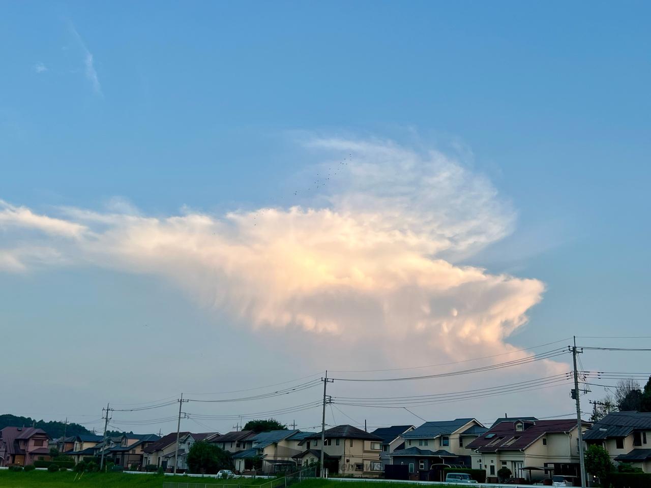 おもしろ雲画廊 注目の空の写真 ウェザーニュース