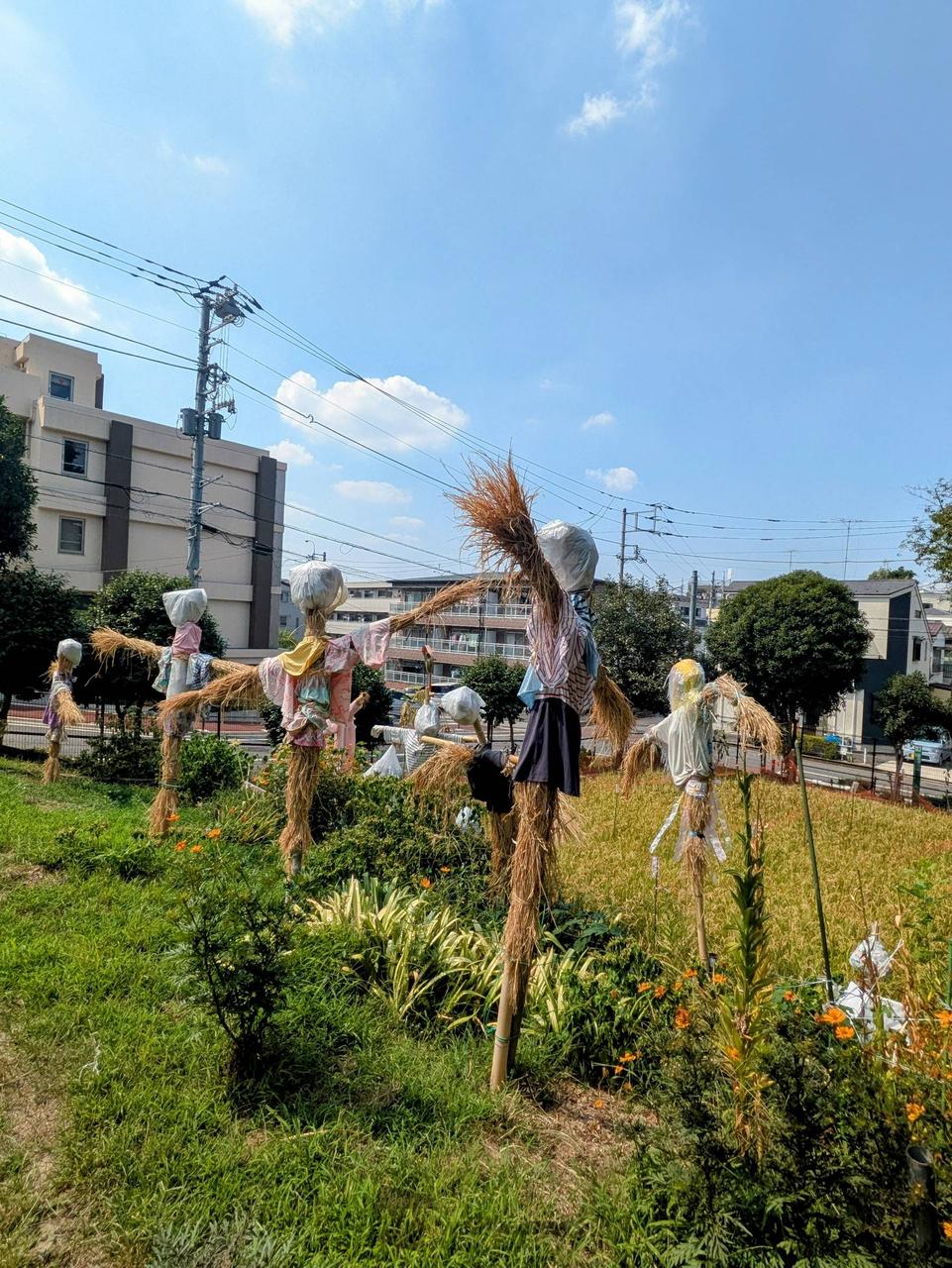 案山子コレクション 注目の空の写真 ウェザーニュース