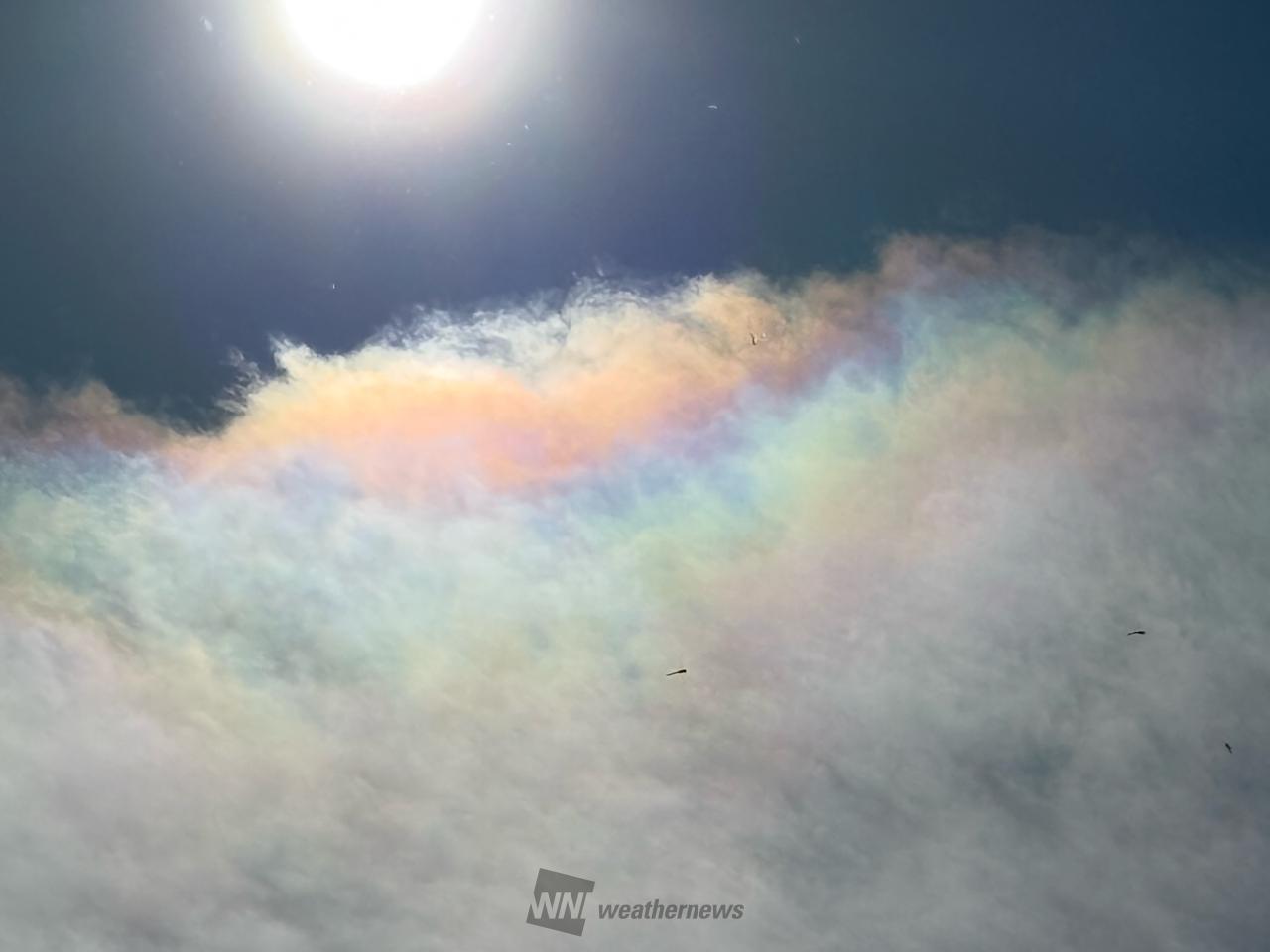 虹色の雲 注目の空の写真 ウェザーニュース