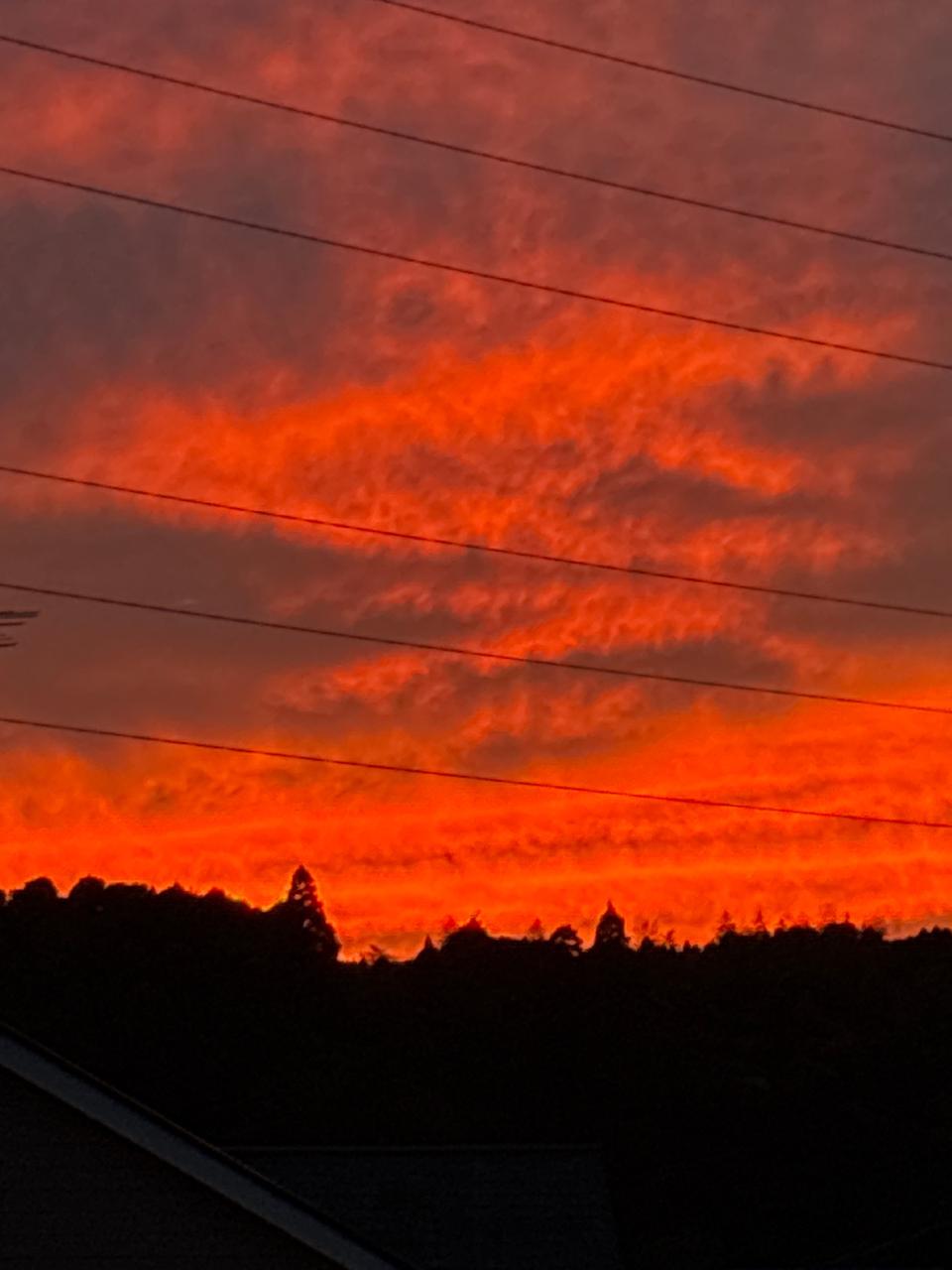 関東周辺で幻想的な夕焼け 注目の空の写真 ウェザーニュース