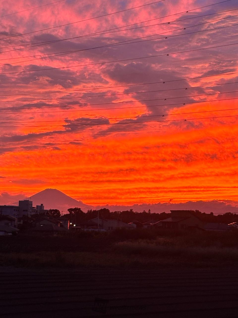 日本画夕焼け 楽天市場】夕焼け 絵画（絵画｜アート・美術品・骨董品・民芸品