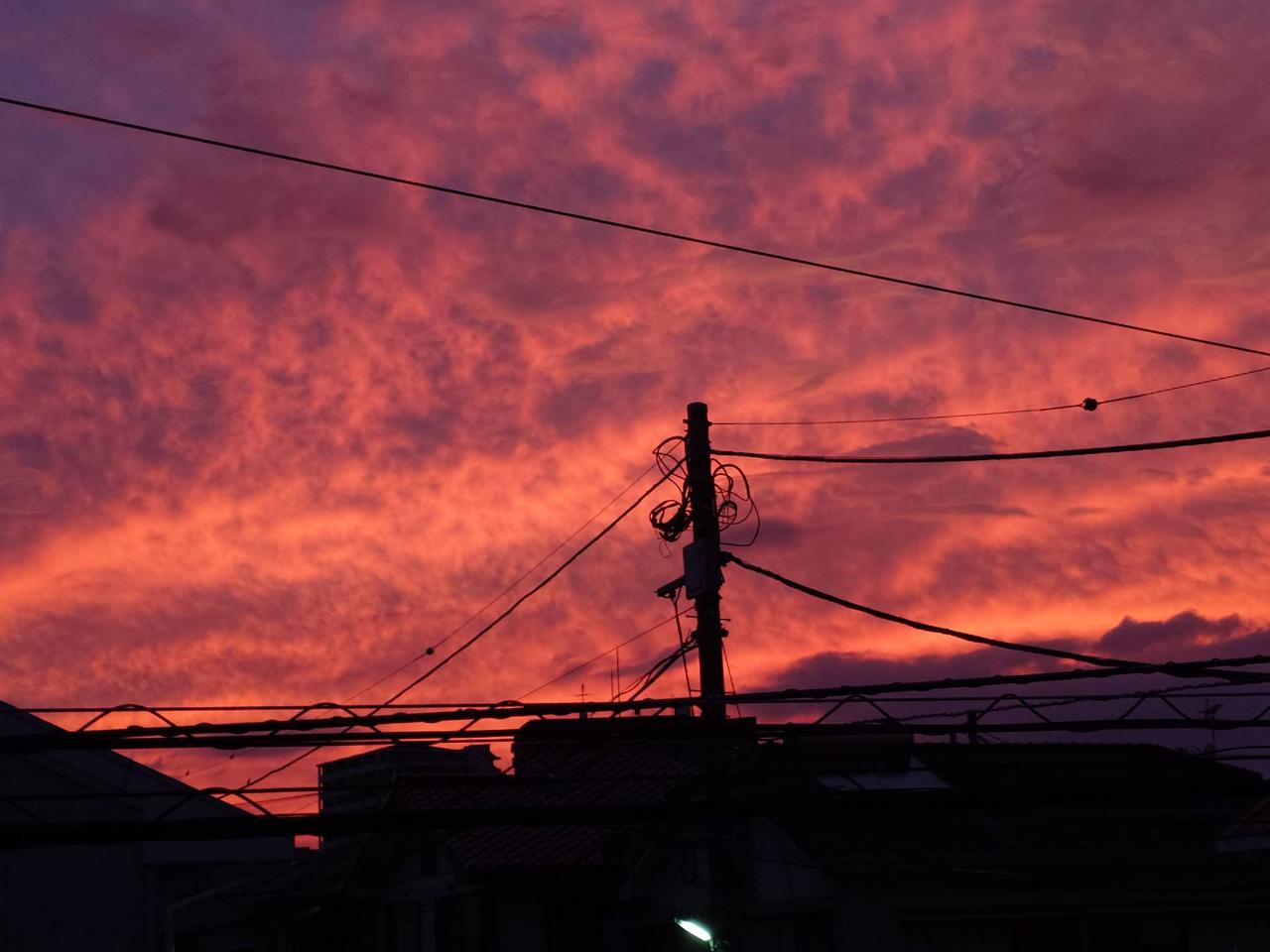 関東周辺で幻想的な夕焼け 注目の空の写真 ウェザーニュース