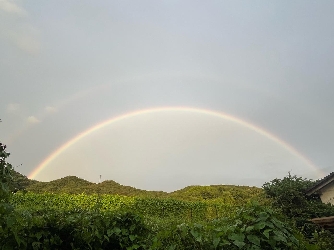 九州などで虹🌈 ダブルレインボーも 注目の空の写真 ウェザーニュース