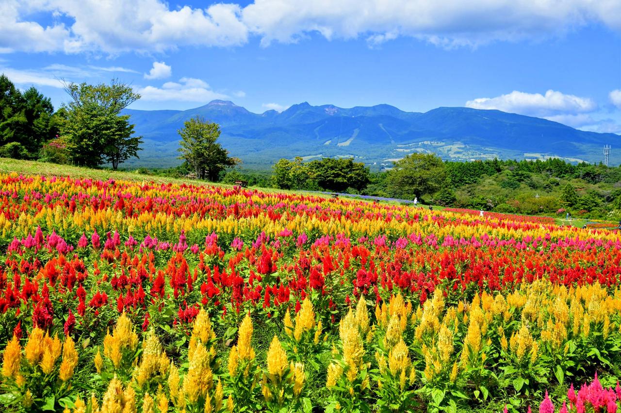 6日の絶景写真 注目の空の写真 ウェザーニュース