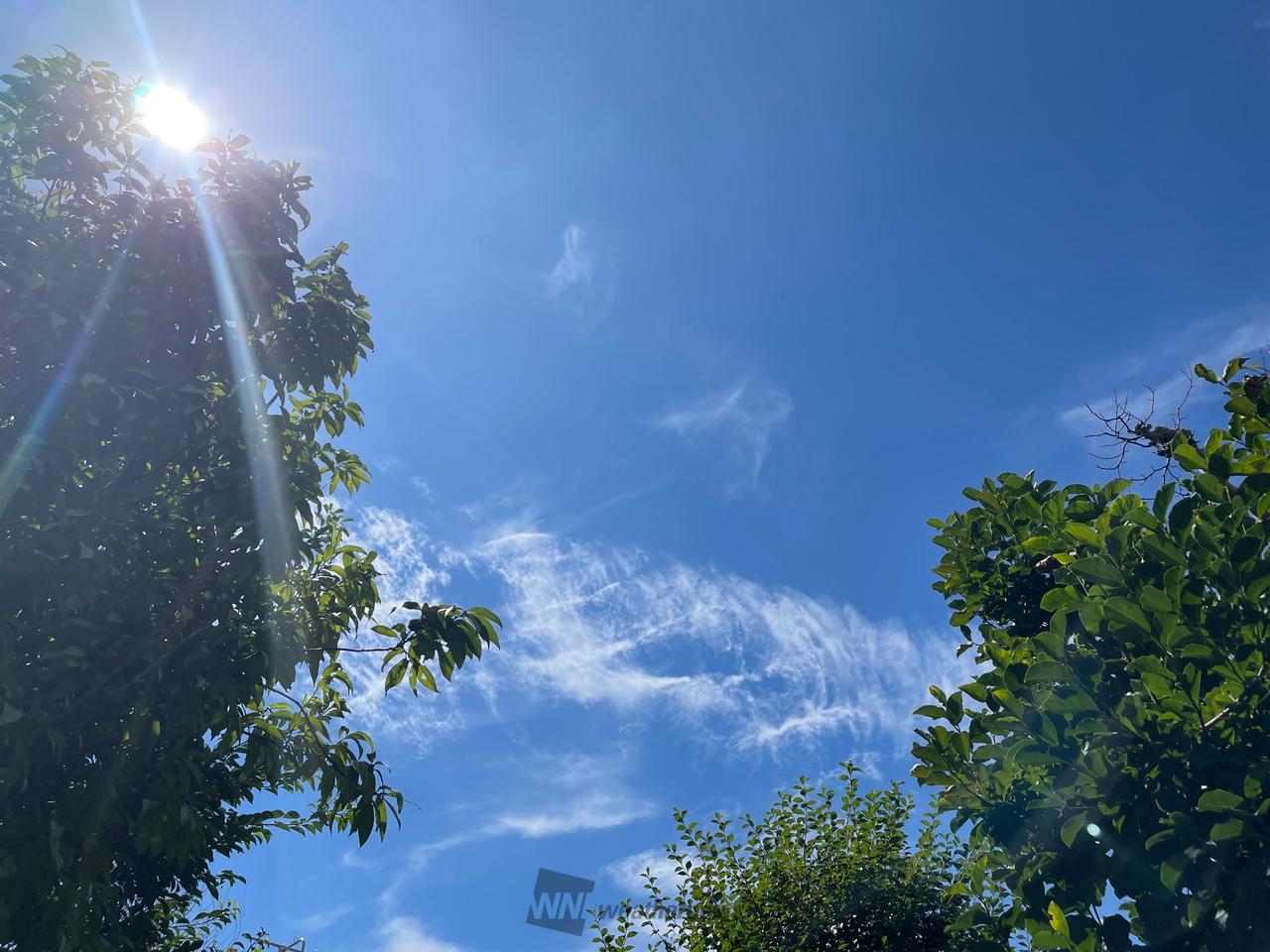 日差しは強いですが...