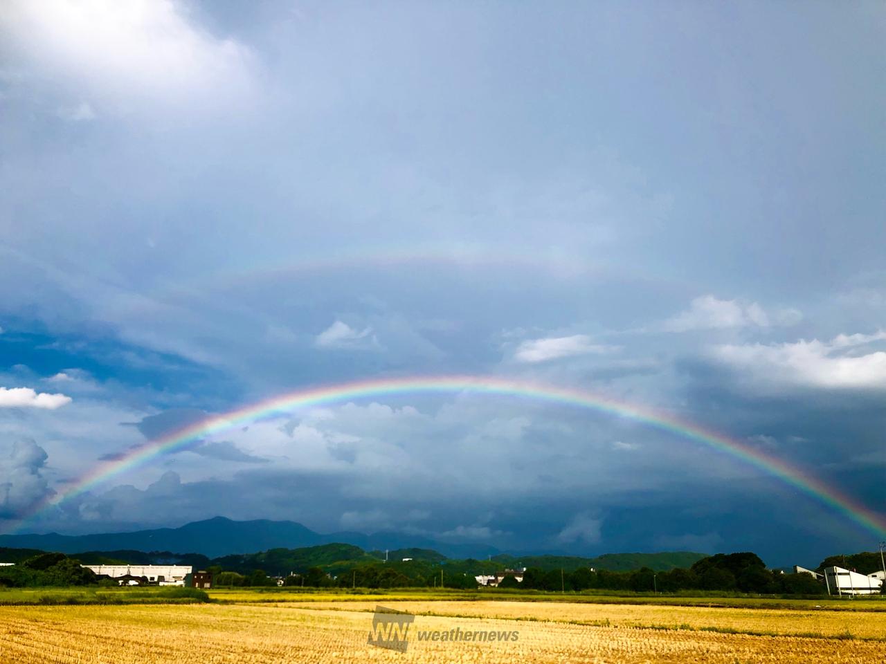 かごの中の太陽　ダブルレインボウ　1枚 雨上がりの空に虹が現れました！！ ダブルレインボーになっていたり