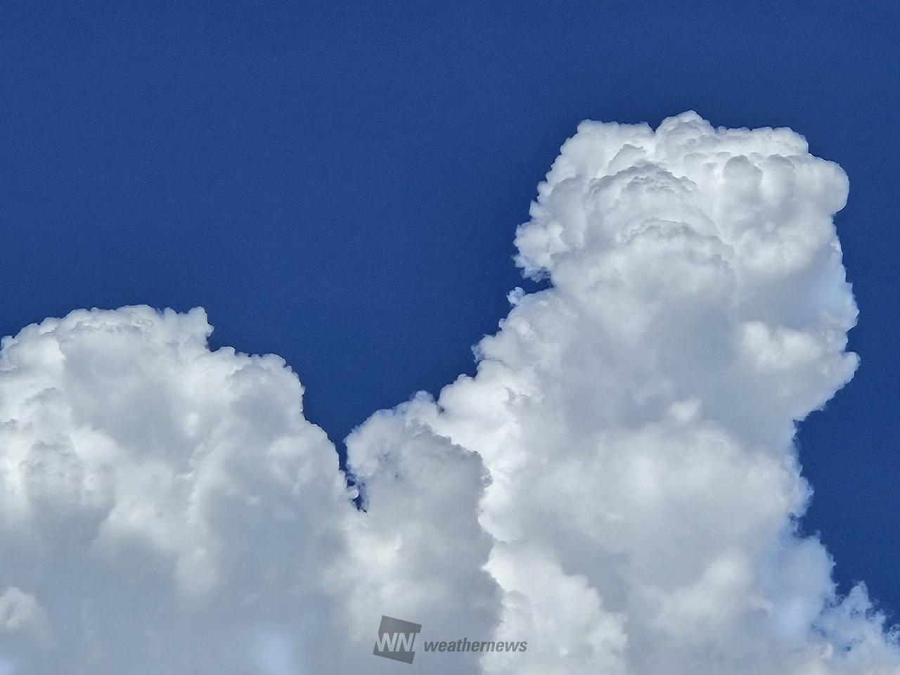 夏のような雲 注目の空の写真 ウェザーニュース