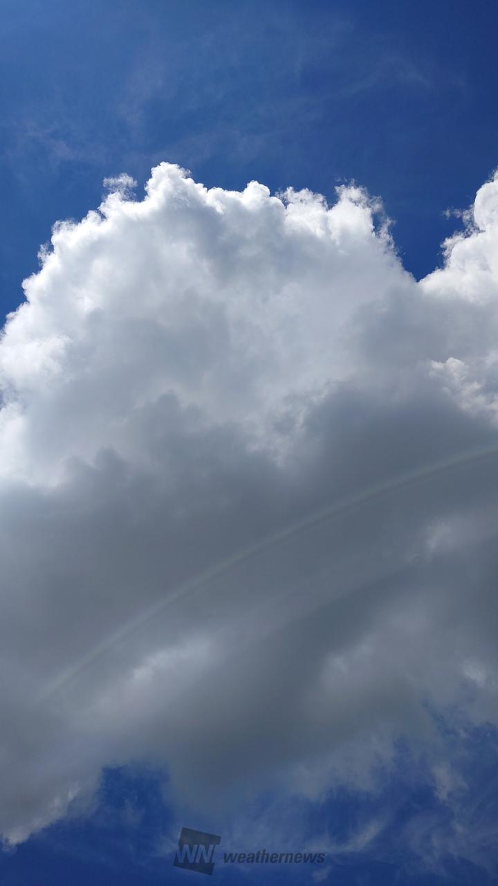 ゲリラ雷雨リポート...