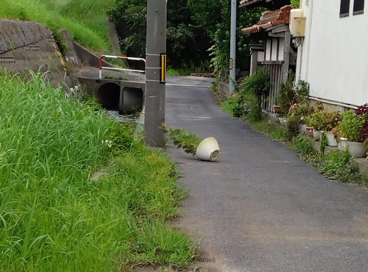 我が家の辺りは雨は...