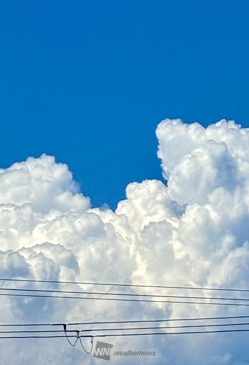 夏のような雲 注目の空の写真 ウェザーニュース