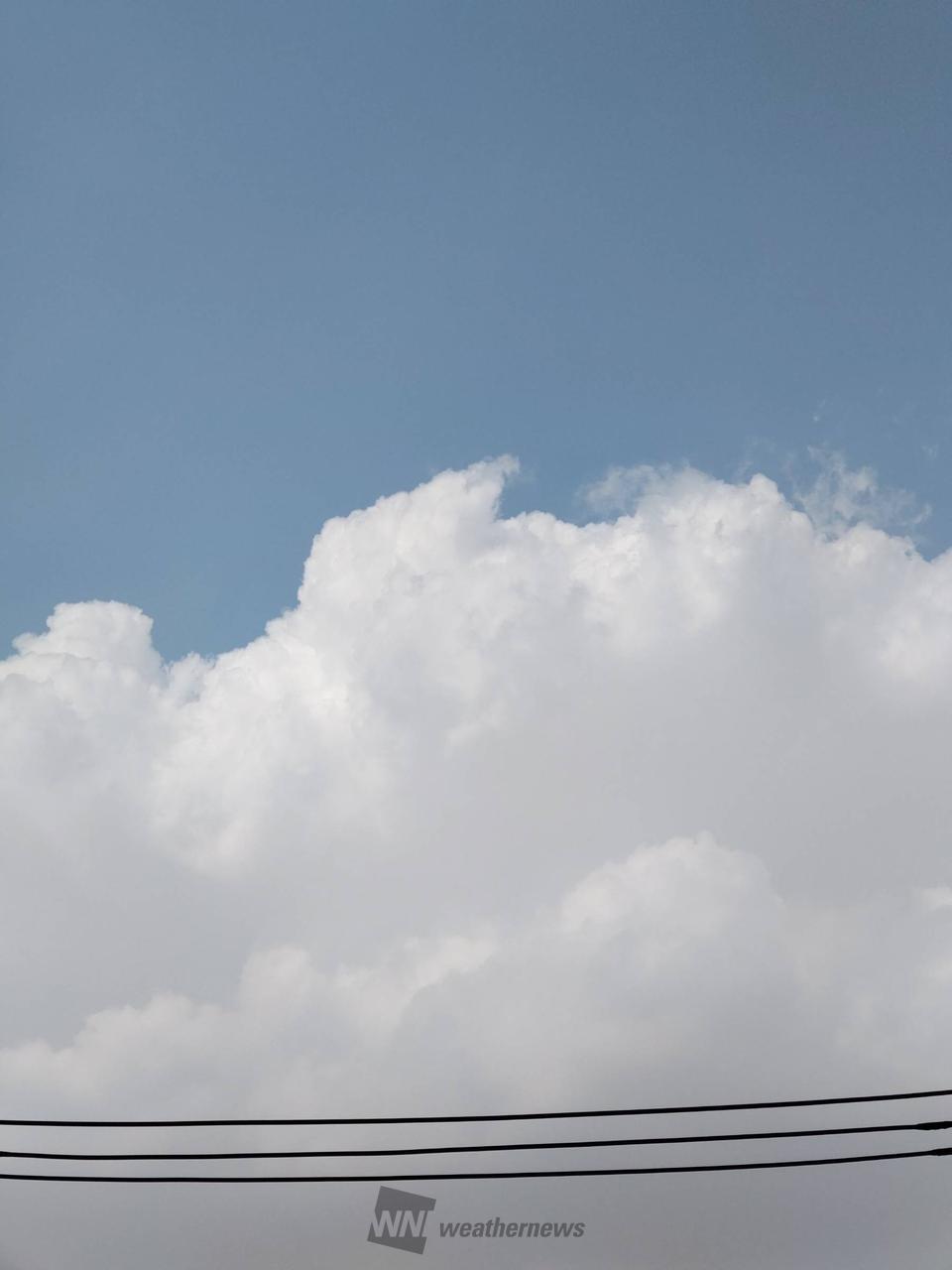 夏のような雲 注目の空の写真 ウェザーニュース