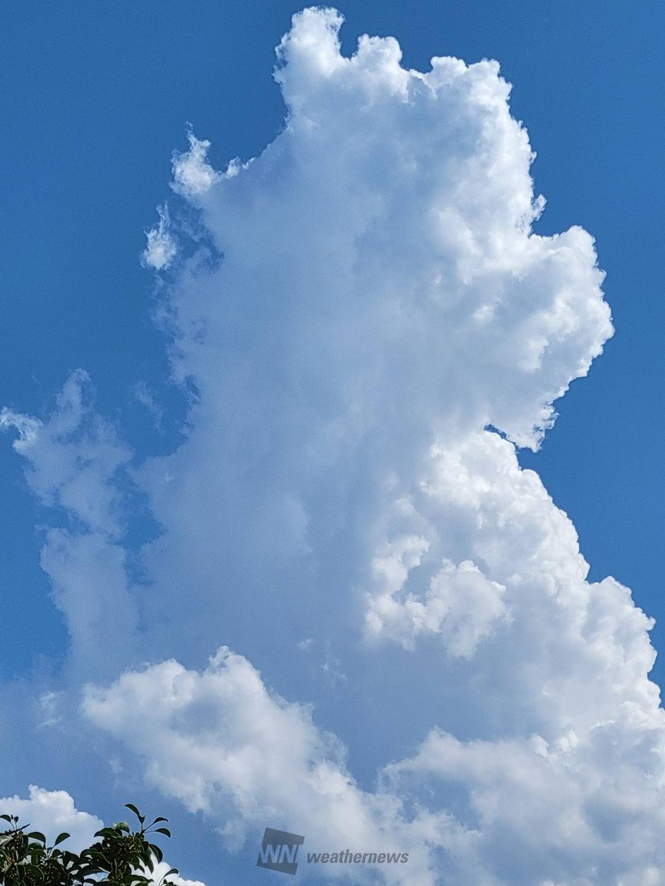 夏のような雲 注目の空の写真 ウェザーニュース