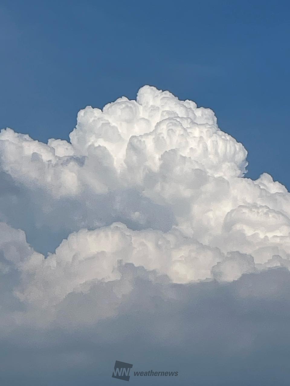 夏のような雲 注目の空の写真 ウェザーニュース