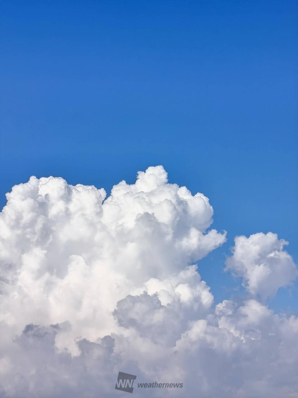 夏のような雲 注目の空の写真 ウェザーニュース