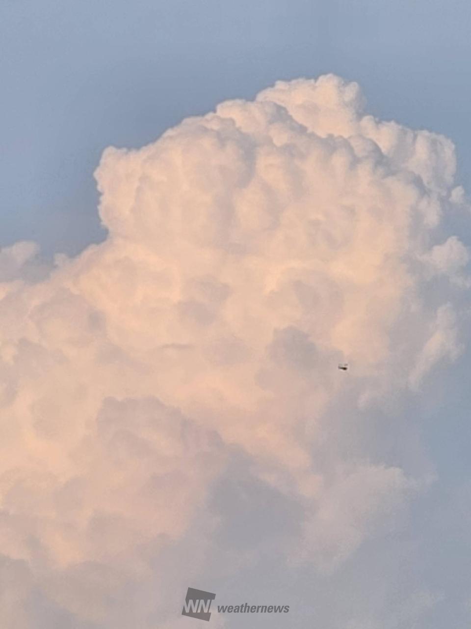 夏のような雲 注目の空の写真 ウェザーニュース